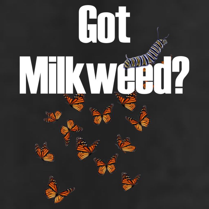 Got Milkweed? Adult Drive Performance Visor