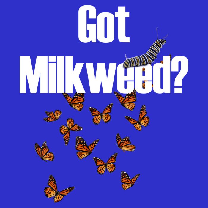Got Milkweed? Visor