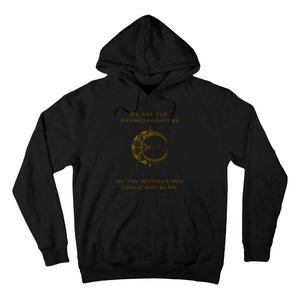 Granddaughters Of The Witches You Could Not Burn Hoodie