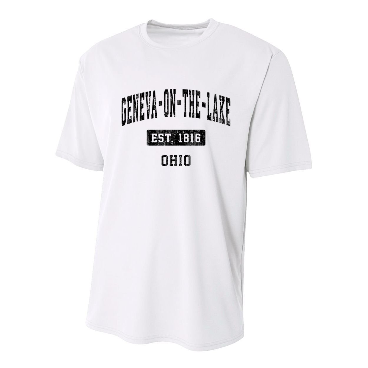 Geneva On The Lake Ohio Oh Vintage Established Sports Established Youth Performance Sprint T-Shirt