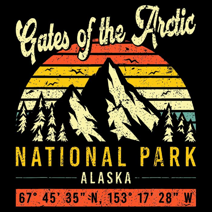 Gates Of The Arctic Vintage Retro Alaska National Park Womens T-Shirt