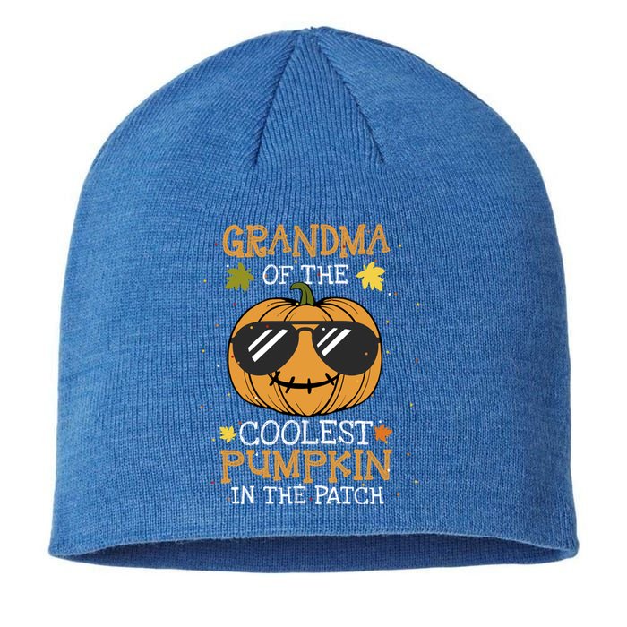 Grandma Of The Coolest Pumpkin In The Patch Halloween Funny Gift Sustainable Beanie