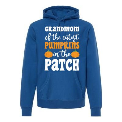 Grandmom Of The Cutest Pumpkins In The Patch Halloween Gift Premium Hoodie