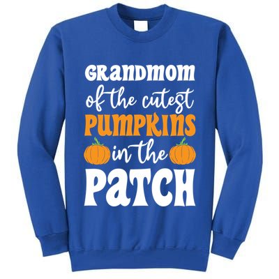 Grandmom Of The Cutest Pumpkins In The Patch Halloween Gift Tall Sweatshirt