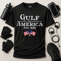 Gulf Of Usa America éT 2025 Flags Cooling Performance Crew T-Shirt