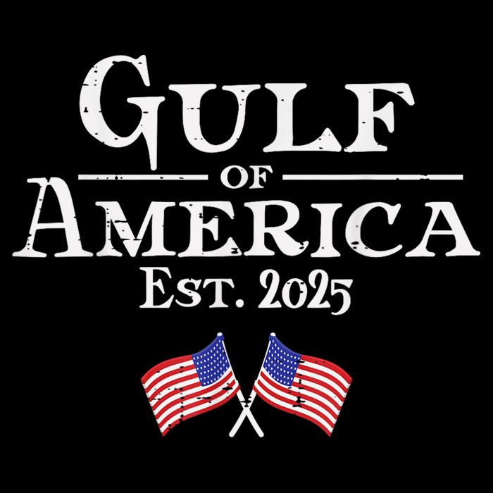 Gulf Of Usa America éT 2025 Flags Cooling Performance Crew T-Shirt