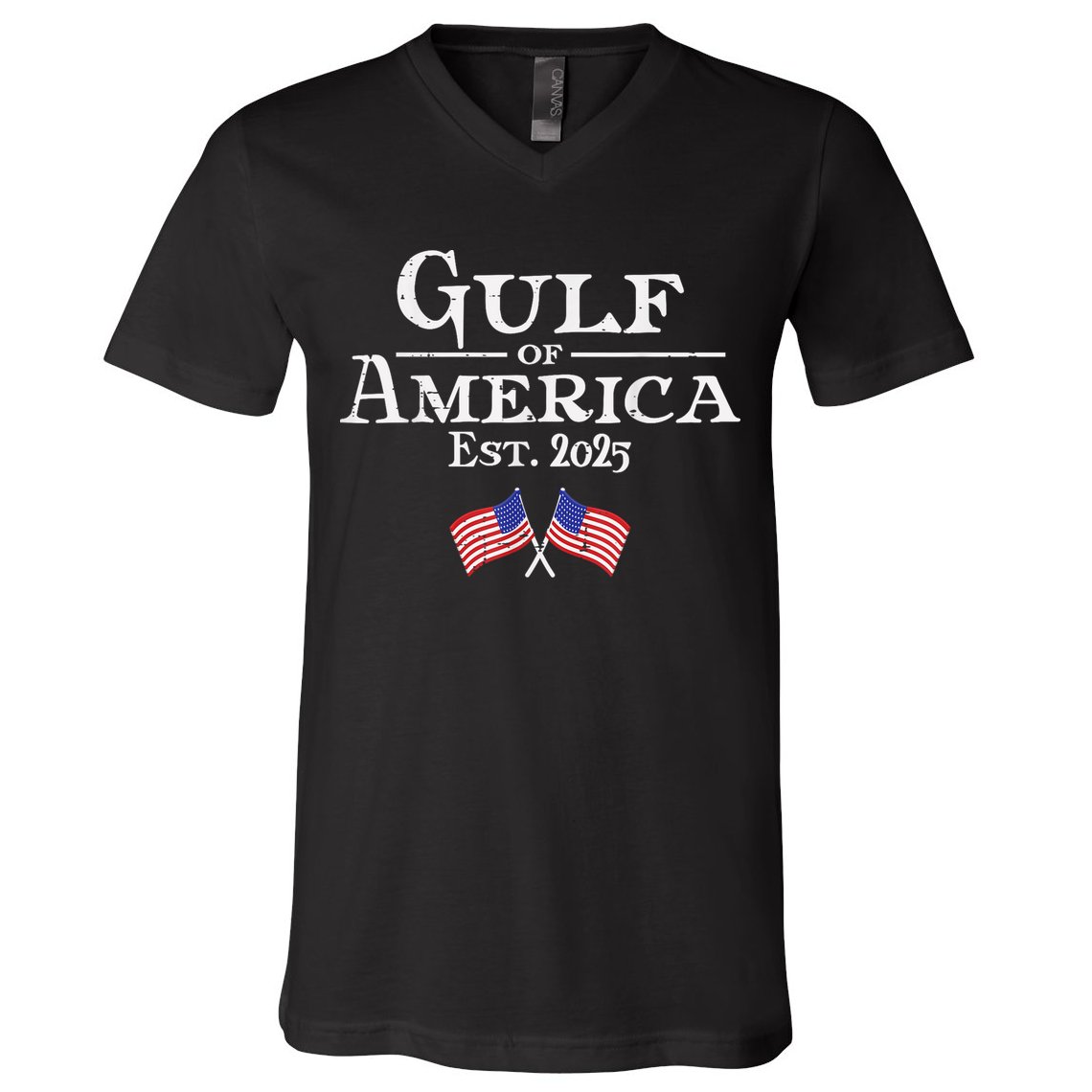 Gulf Of Usa America éT 2025 Flags V-Neck T-Shirt