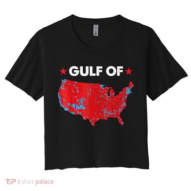 Gulf Of Usa America Red Wave Flag Crop Top