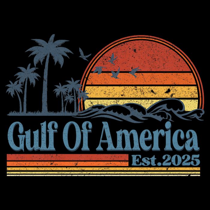 Gulf Of Us America Est 2025 Retro Vintage Beach Toddler Hoodie