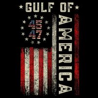 Gulf Of Usa America Funny Usa Flag 16 in Basic Backpack