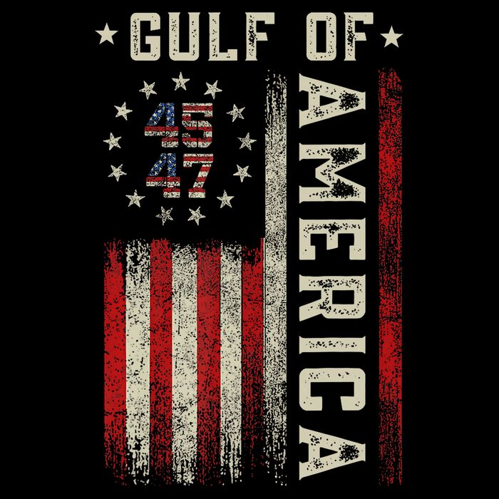 Gulf Of Usa America Funny Usa Flag 16 in Basic Backpack