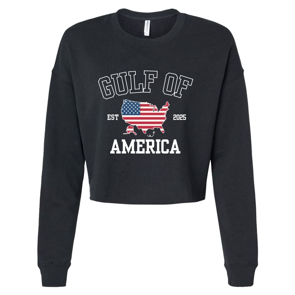 Gulf Of United States Of America Usa Funny Cropped Pullover Crew