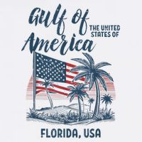 Gulf Of Usa America Florida Usa Womens Tank Top
