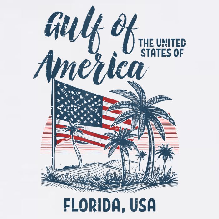 Gulf Of Usa America Florida Usa Womens Tank Top