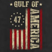 Gulf Of Usa America Funny Usa Flag Trucker Hat