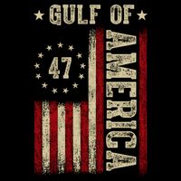 Gulf Of Usa America Funny Usa Flag Wool Snapback Cap
