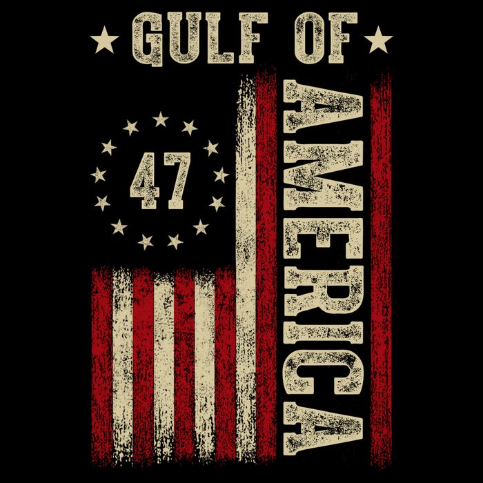 Gulf Of Usa America Funny Usa Flag Wool Snapback Cap