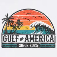 Gulf Of USA America Since 2025 Retro Vintage Beach Mug