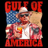 Gulf Of Us America Est 2025 Retro Vintage Beach Toddler T-Shirt
