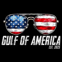 Gulf Of Us America Est 2025 Sunglasses Wool Snapback Cap