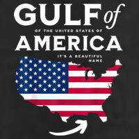Gulf Of Us America Adult Drive Performance Visor