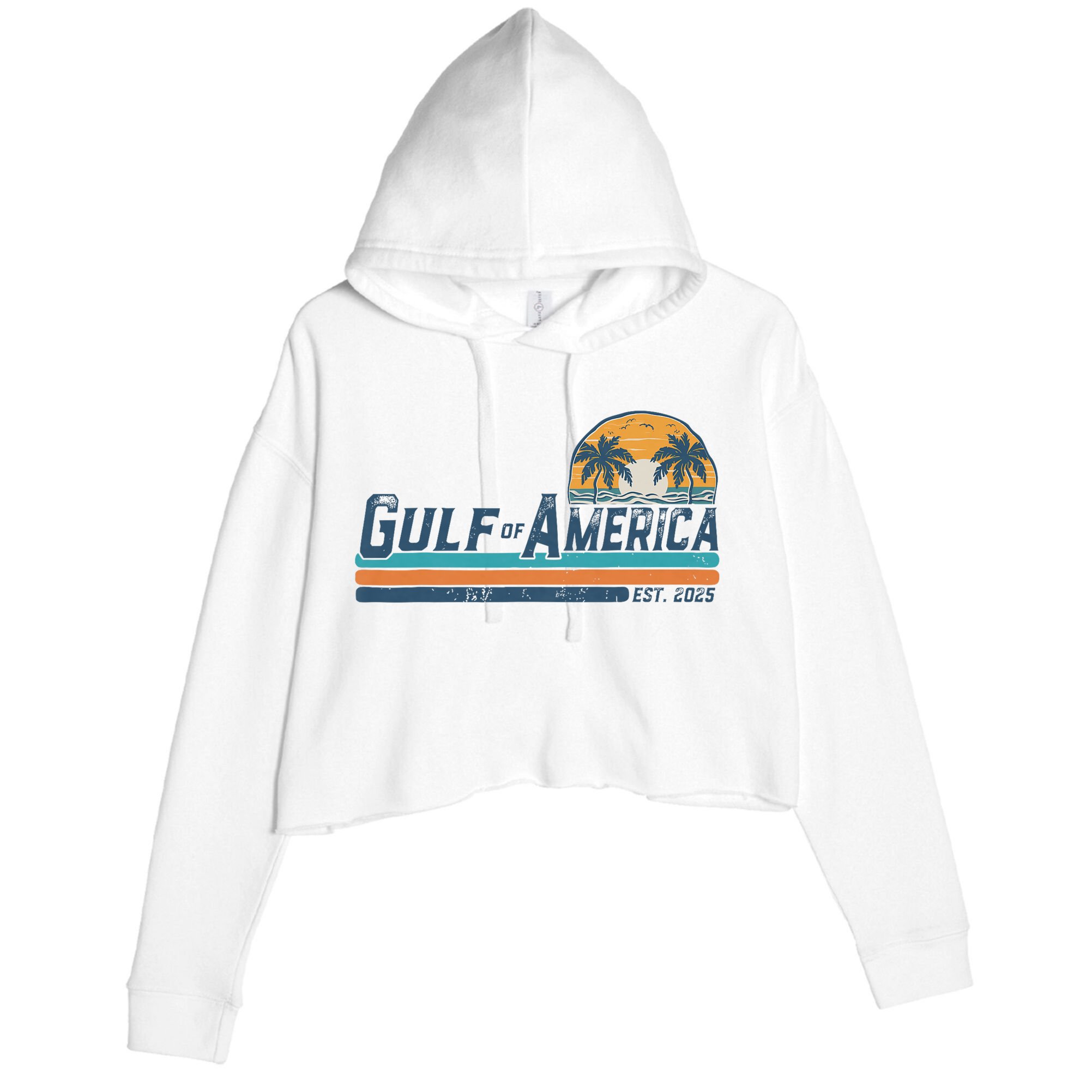 Gulf Of US America Est 2025 Retro Vintage Beach Crop Fleece Hoodie