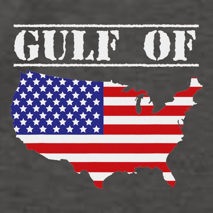 Gulf Of United States Of America Vector Backpack