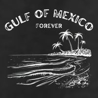 Gulf Of Usa America Funny Gulf Of Mexico Flag Map 4th July 11oz C Handle Ceramic Mug