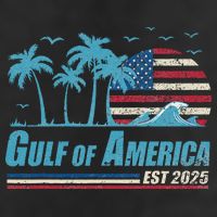 Gulf Of Usa America Est 2025 Retro Vintage Beach Beanie