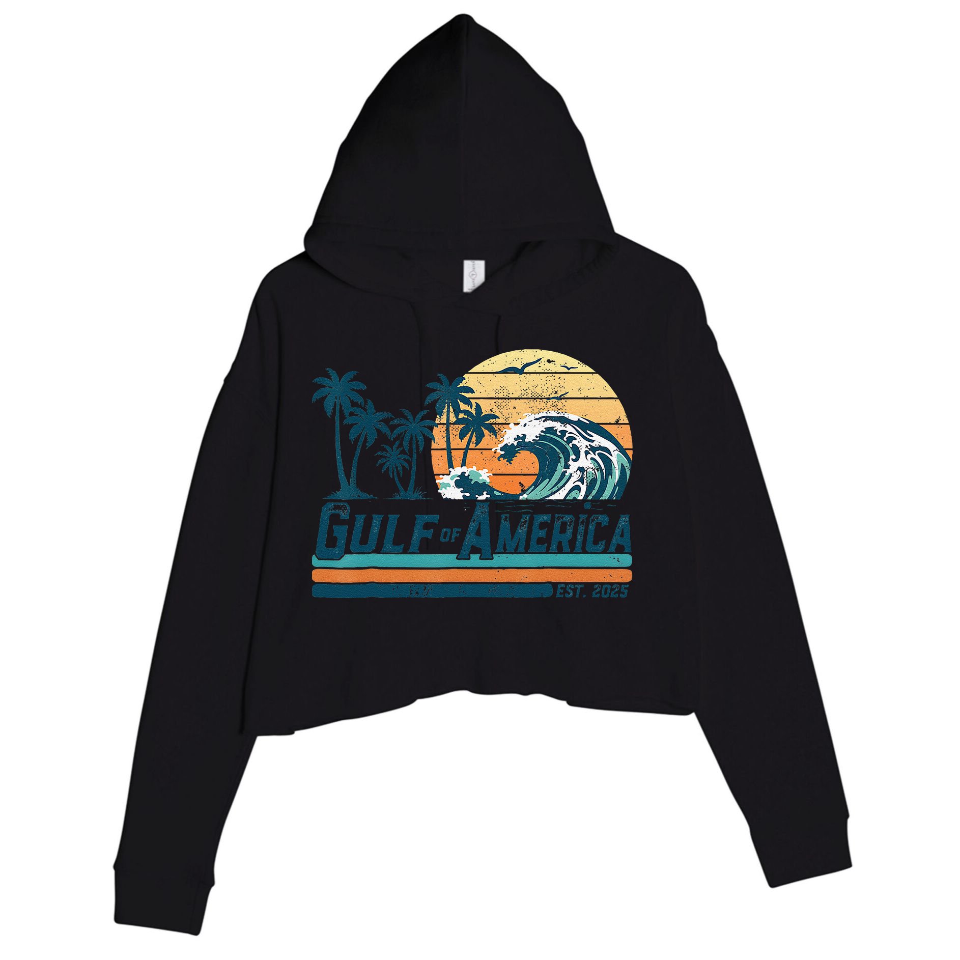 Gulf Of US America Est 2025 Retro Vintage Beach Crop Fleece Hoodie