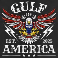 Gulf Of USA America Est 2025 American Flag Eagle 4th Of Adult Drive Performance Visor