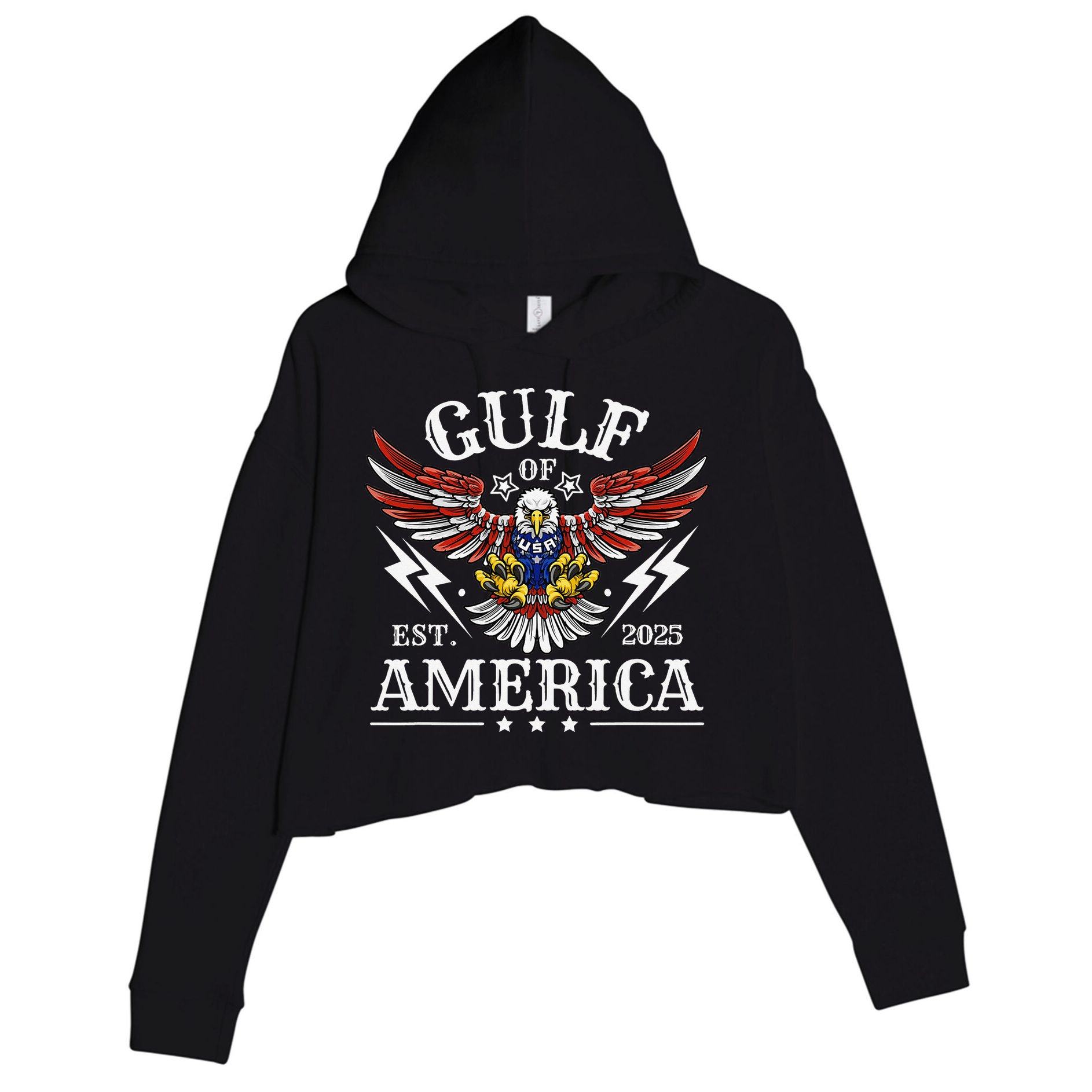 Gulf Of USA America Est 2025 American Flag Eagle 4th Of Crop Fleece Hoodie