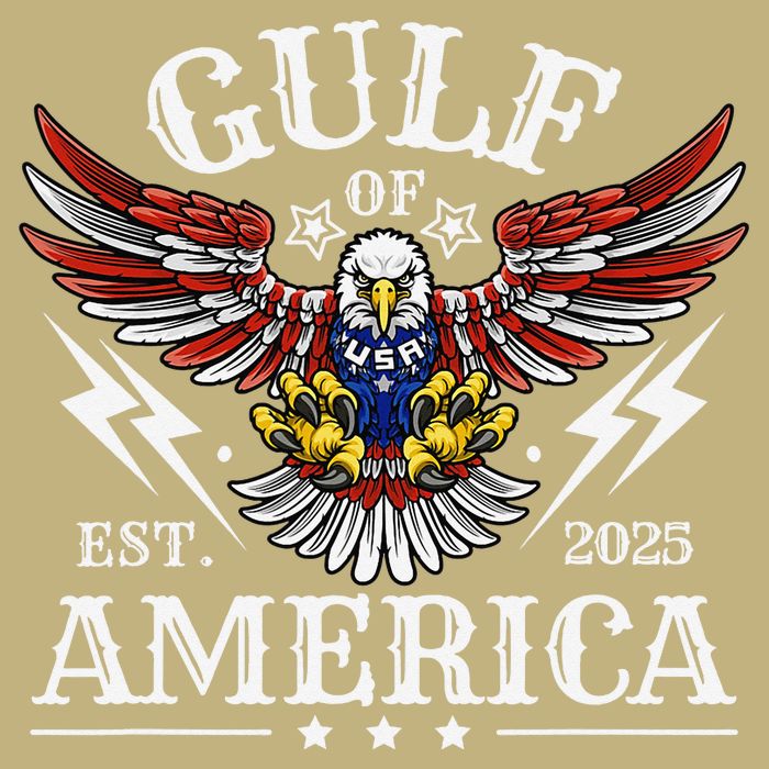 Gulf Of USA America Est 2025 American Flag Eagle 4th Of Cooling Performance Crew T-Shirt