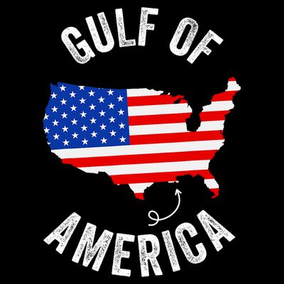Gulf Of Usa America Funny Gulf Of Mexico Usa Flag Map July 4 T-Shirt