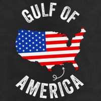 Gulf Of Usa America Funny Gulf Of Mexico Usa Flag Map July 4 Beanie