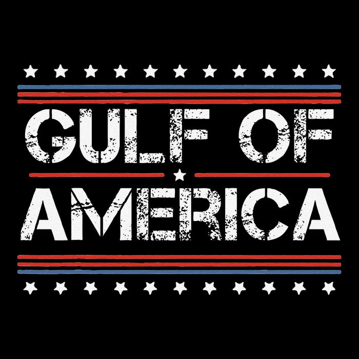 Gulf Of United States Or Usa Of America 16 in Basic Backpack