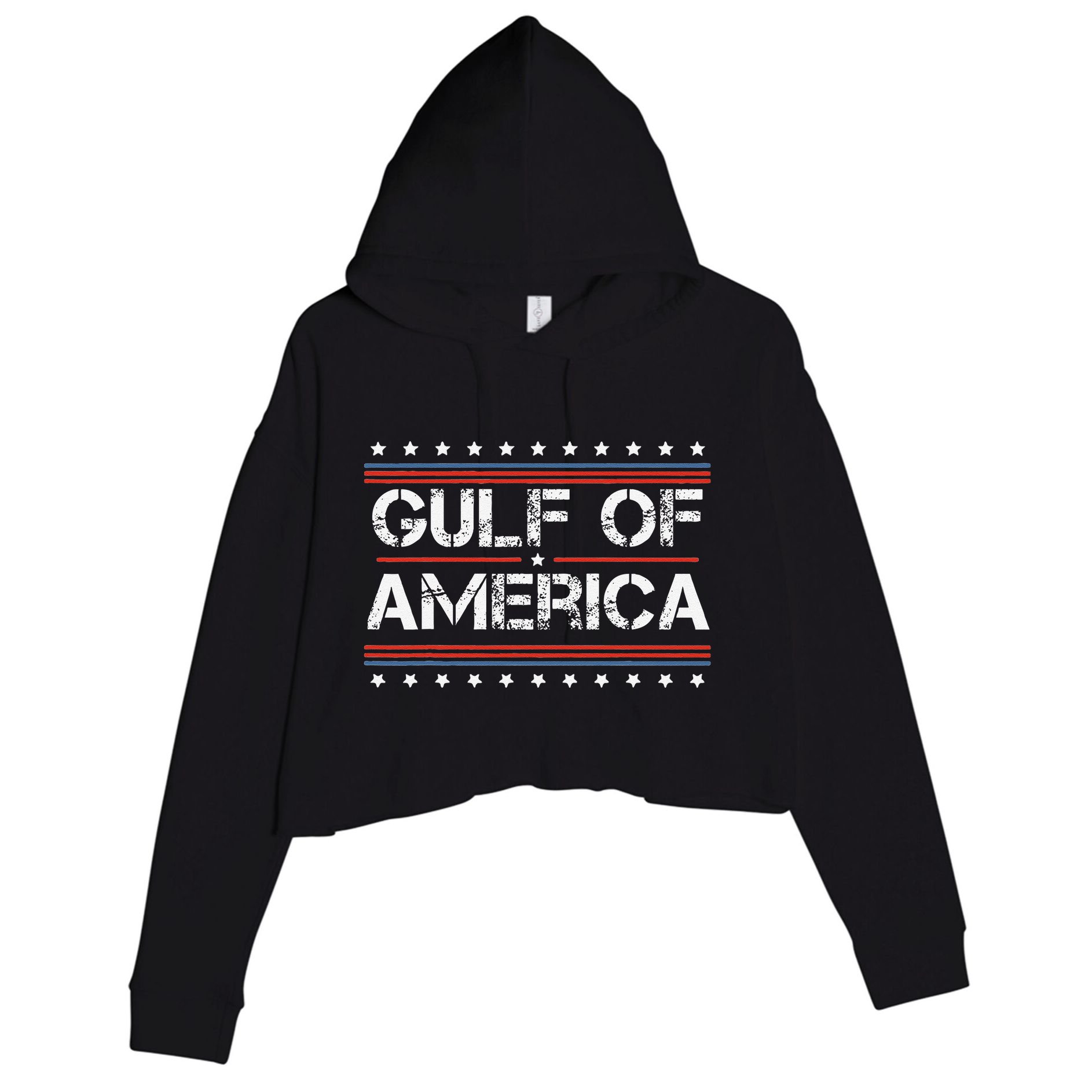 Gulf Of United States Or Usa Of America Crop Fleece Hoodie
