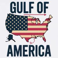 Gulf Of Usa America Funny Gulf Of Mexico Usa Flag Cooling Performance Crew T-Shirt