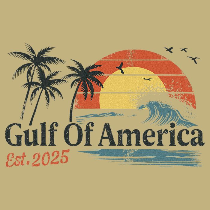 Gulf Of Usa America Est 2025 Retro Vintage Beach T-Shirt