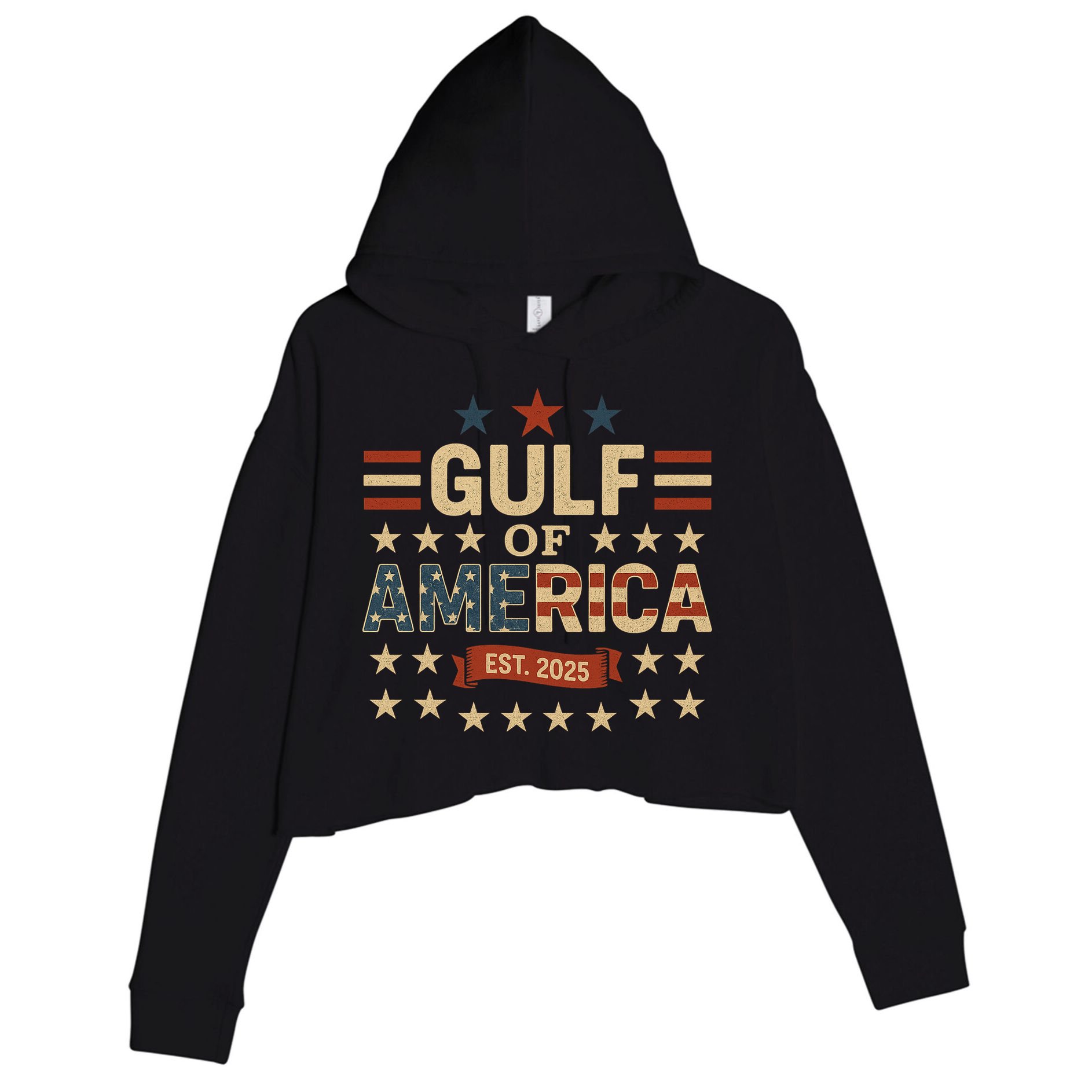 Gulf Of USA America Est 2025 American Flag Crop Fleece Hoodie