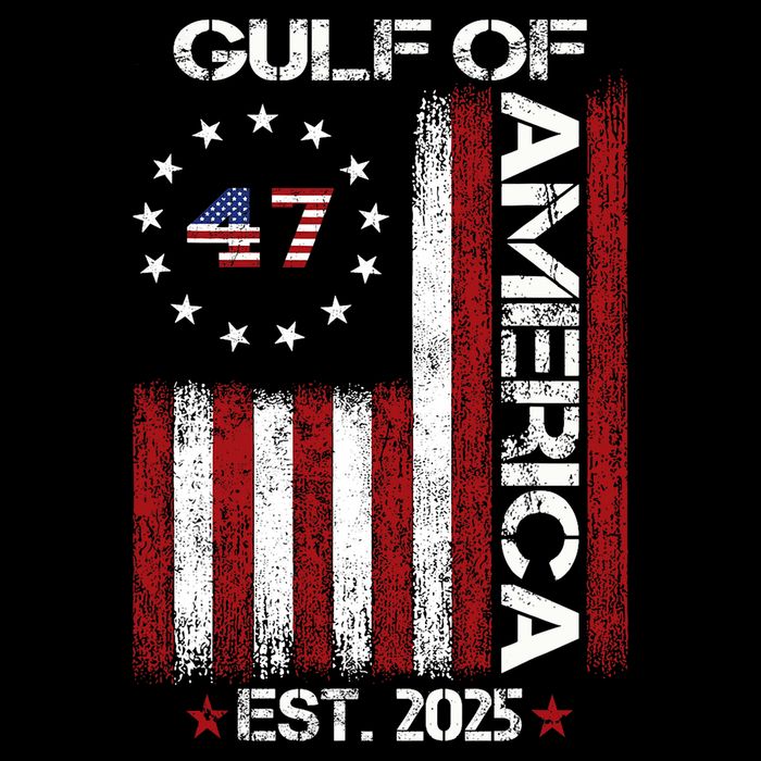 Gulf Of Usa America Est 2025 Impact Tech Backpack