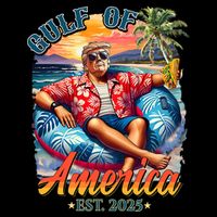 Gulf Of US America 2025 Trump Light Drink Gulf Mexico  Hoodie