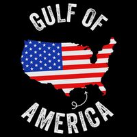 Gulf Of Usa America Funny Gulf Of Mexico Usa Flag Bucket Hat