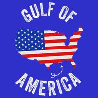 Gulf Of Usa America Funny Gulf Of Mexico Usa Flag Womens Tank Top