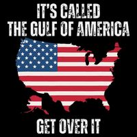 Gulf Of Usa America Funny Usa Flag Bucket Hat