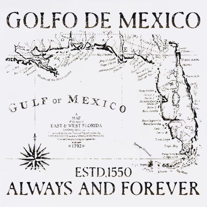 Gulf Of Usa America Golfo De Mexico Gulf Of Mexico Flag Map Long Sleeve Tall T-Shirt
