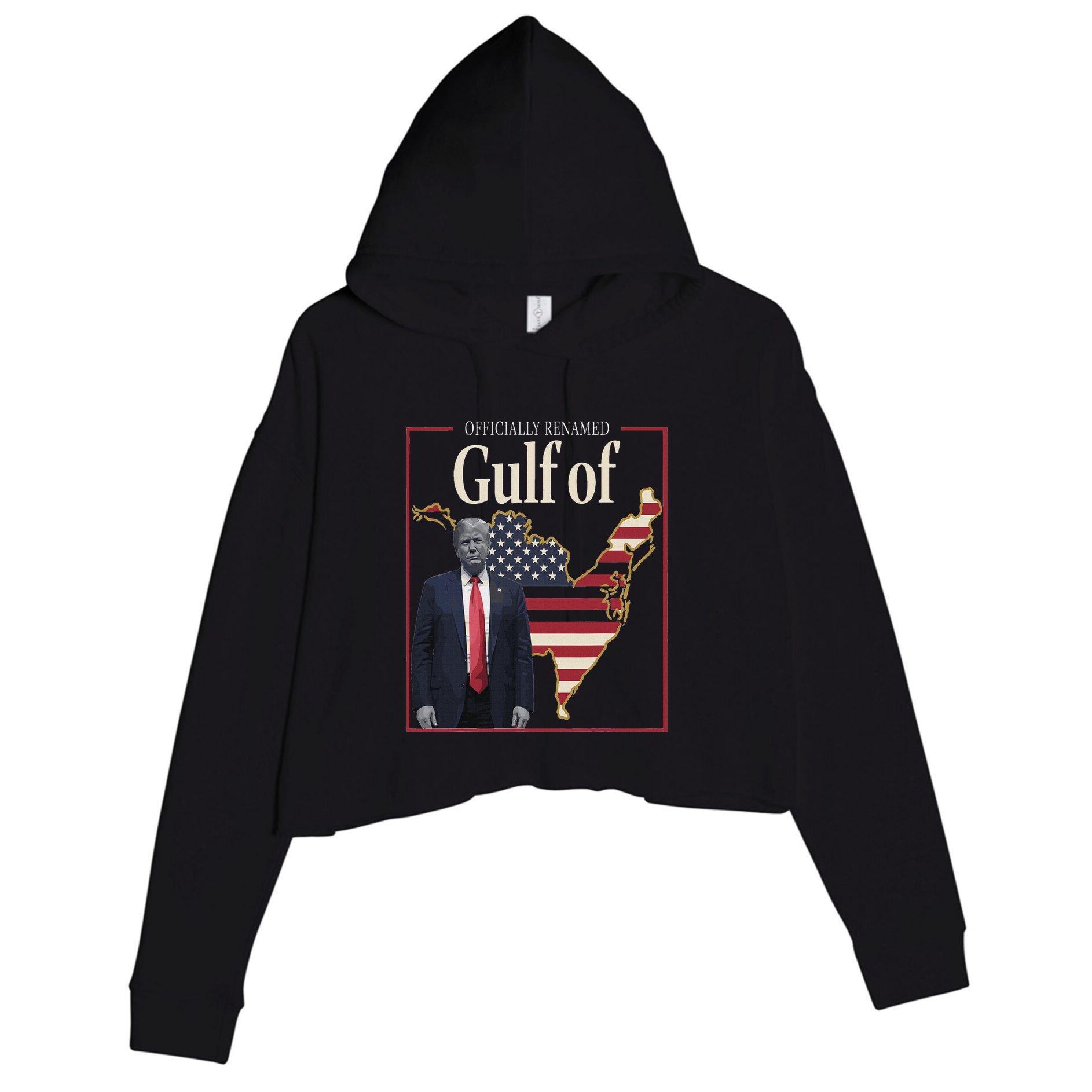 Gulf Of United States Of America Crop Fleece Hoodie