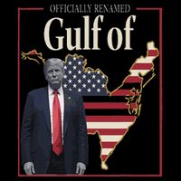 Gulf Of United States Of America Visor