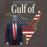 Gulf Of United States Of America Vector Backpack