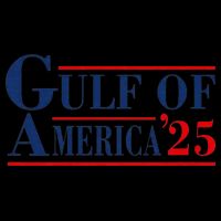 Gulf Of Usa America Funny Gulf Of Mexico Usa 2025 Backpack